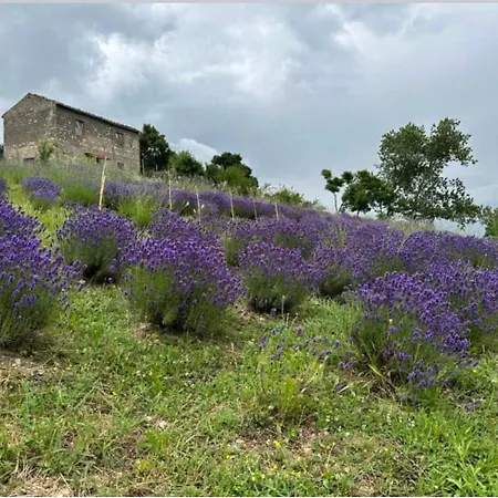 Mariella Vernile 3* Civitella Roveto