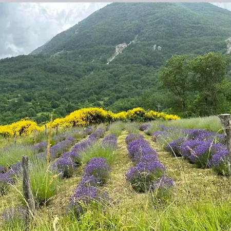 Mariella Vernile 3* Civitella Roveto