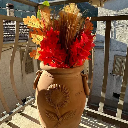 Bed & Breakfast Mariella Vernile