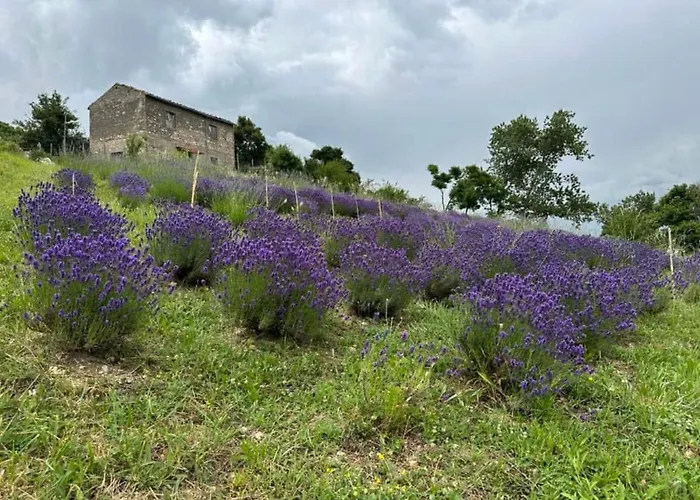 Mariella Vernile 3* Civitella Roveto